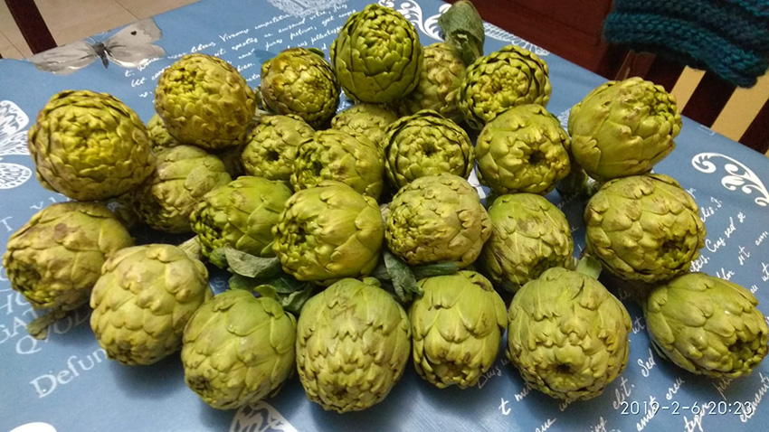 Calçotada 2019 (03)